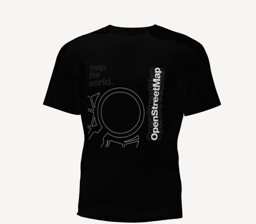 The design on the front of a 3D rendered T-Shirt.