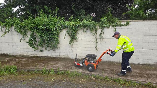 Weed ripper