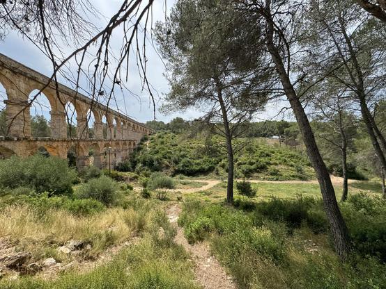 All arches have the same diameter of 20 Roman feet (5.9m) with a variation of 15 cm. The distance between centres of the pillars is 26 Roman feet (7.95m).