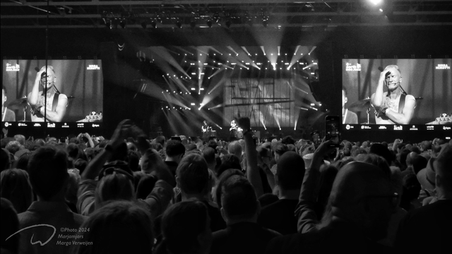 A crowd at a live concert enjoying a live concert. With Sting performing at North Sea Jazz Festival in 2024.
