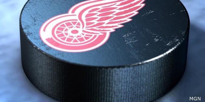 Steve Yzerman expecting new coach Todd McLellan to get Red Wings back on track
