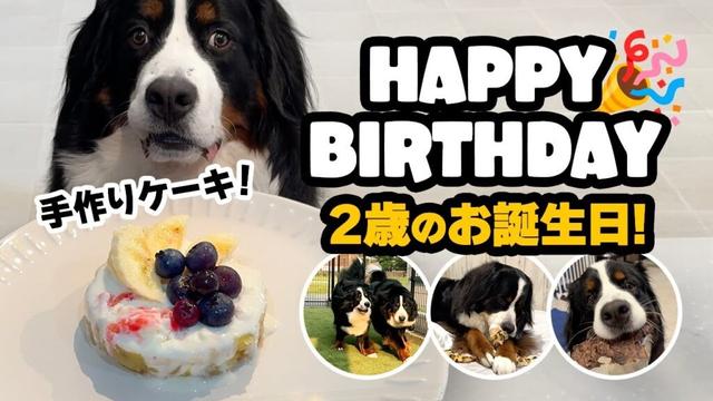 2歳の誕生日🎉はじめての手作りケーキ🎂＆輪くんからのプレゼント🎁
