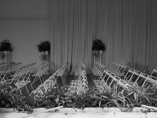 Vue depuis une fenêtre. Un tout premier plan sur la part inférieure de l’image avec quelques plantes le long de la bordure de la fenêtre, puis des rangs de chaises blanches pliables, alignées, avec au fond de la salle un rideau et des plantes sur des piédestaux. L’image est en noir et blanc.