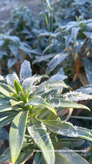 "La ola polar en el hemisferio sur "
#winter #weather #Invierno ❄️ 🌨️ 🌡️ #Clima #Patagonia #Solstice #RioGallegos