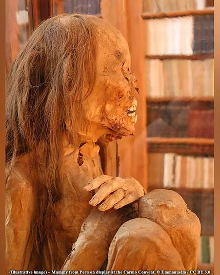 1,000-year-old pre-Inca mummy linked to Chancay culture unearthed during gas work in Lima

A team of gas utility workers laying pipes in northern Lima, Peru, stumbled upon an ancient discovery during their work, uncovering a 1,000-year-old pre-Inca mummy. The find was just 20 inches (50 centimeters) beneath the ground when workers came upon the trunk of a huarango tree—historically used as a tomb marker in Peru’s coastal area. The presence of the tree indicated the probable presence of a grave. While excavating further, archaeologists discovered the remains of a teenager between the ages of 10 and 15 who was buried in a seated position with arms and legs bent, wrapped in a shroud with ritual objects...