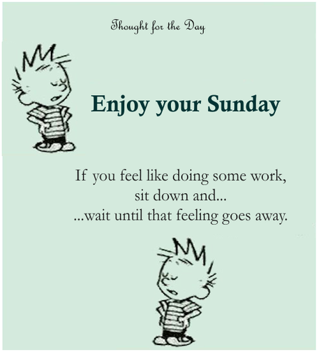 meme titled "Thought for the Day" with cartoon character Calvin stating "Enjoy your Sunday - if you feel like doing work, sit down and... wait until that feeling goes away."
his quote emphasises the importance of rest and relaxation on a Sunday, rather than succumbing to the urge to work HELL YEA