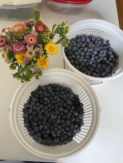 Bucket of blueberries, bucket of blackberries and a bouquet of flowers.