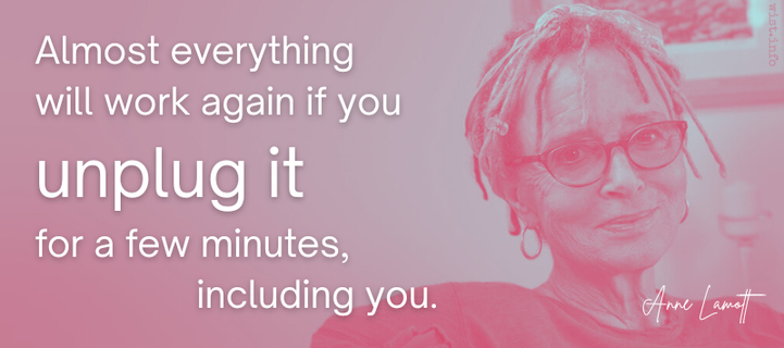Almost everything will work again if you unplug it for a few minutes, including you. - Anne Lamott