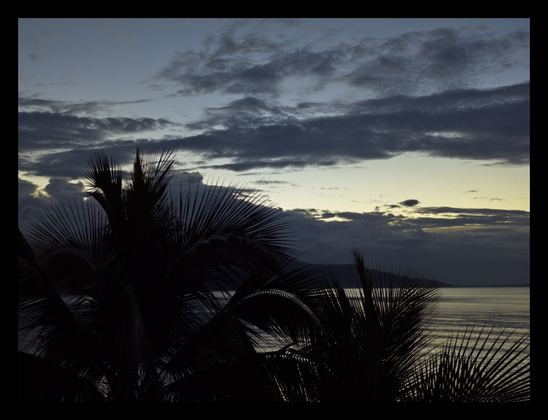 A tranquil, wide-angle photograph of a tropical scene at dusk. In the foreground, the dark silhouettes of palm fronds frame the view of a calm sea. The sky is filled with dark clouds, with a band of pale light glowing on the horizon above a distant landmass. - Google Gemini 2.5 Pro