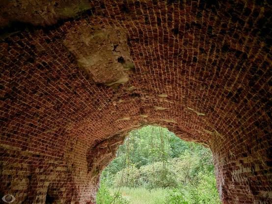 A worn out brick archway making exit into nature.