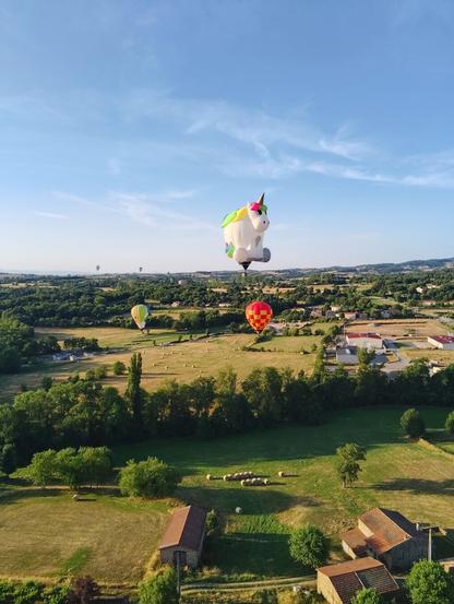 Vue de la nacelle sur des champs et des montgolfières de toutes les formes et couleurs, notamment l'une d'elle en forme de licorne blanche et crinière arc-en-ciel.