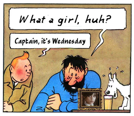 the tintin meme "what a week" but adapted
captain haddoc now sais "what a girl" and there is a framed picture of wednesday addams on the table. tintin replies " captain, it' wednesday" like in the original meme