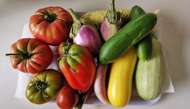 Un plateau de légumes colorés justes ramenés du jardin