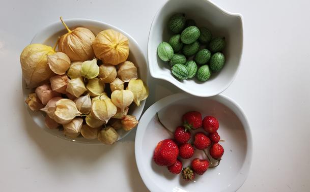 Trois bols de petits fruits du jardin : fraises, cucamelon et physalis