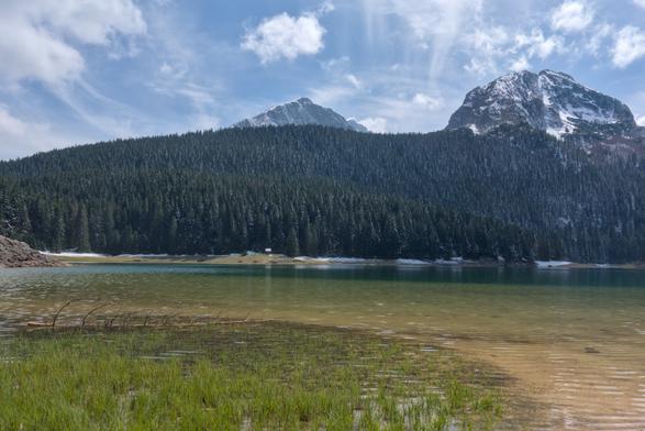 A lake stretches from the foreground of the image to about the centre. The water is very clear, as can be seen in the shallow foreground, but turns into a dark turquoise towards the far end of the lake visible in the picture, as the water gets deeper. In the top half of the image, the other bank of the lake rises, first as a forested slope and then, above the forest, two mountain peaks with snow rise. Above the mountains, there is a blue sky with scattered white clouds.