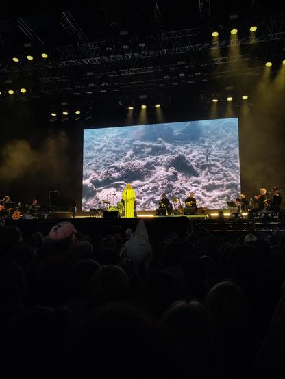 A stage with a person in a yellow/white dress and a big screen showing a dead coral reef.