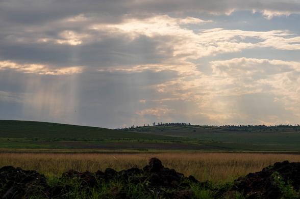 A landscape featuring rolling hills under a cloudy sky. Rays of sunlight break through the clouds, illuminating the grassy fields below. In the foreground, dark volcanic rock contrasts with the golden grasses of the field.