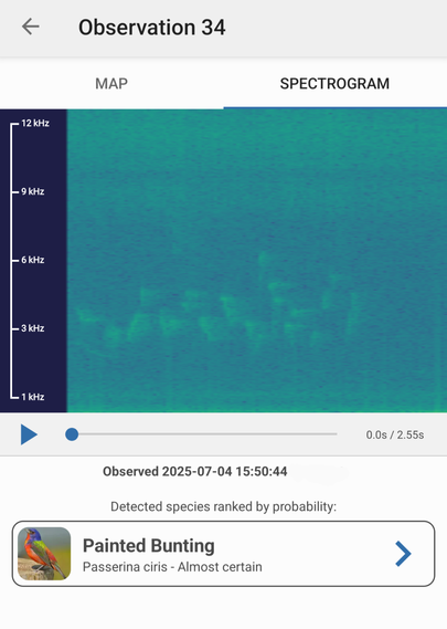 Screenshot from BirdNet app off a spectrogram of the call of a Painted Bunting observed on July 4, 2025.
