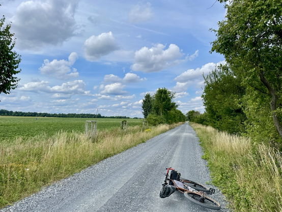 Eine Fahrrad liegt auf einem breiten geschotterten Weg. Rechts stehen Büsche und Bäume, links erstreckt sich eine Wiese. Wolken ziehen über den blauen Himmel.