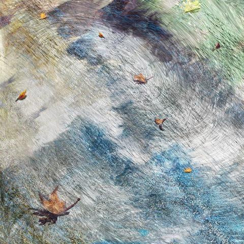 Trottoir automnal - Expression libre
Feuilles mortes tourbillonnant sur le bitume mouillé
Vincent Dufrène Photographies