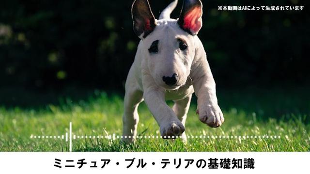 ミニチュア・ブル・テリアの基礎知識