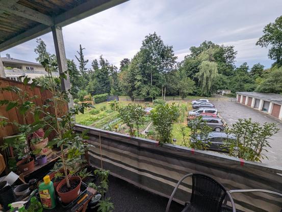 A balcony sight with tomato plants on the left and a green scenery with cars in the background.