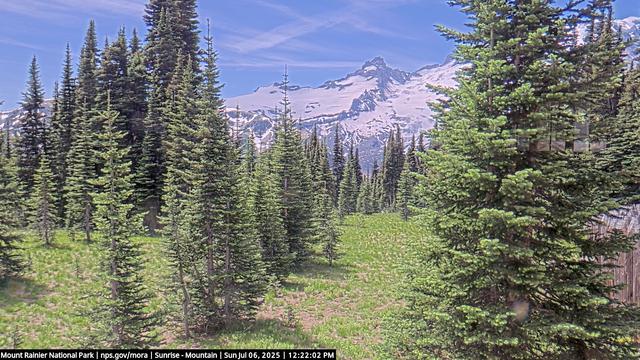 Trees, mountain, and sky dominate this view from Mount Rainier National Park today. Though the distant peaks remain covered in snow, the closer slopes are showing off new green vegetation. The trees frame the view, while subalpine lakes and meadows beckon park visitors.