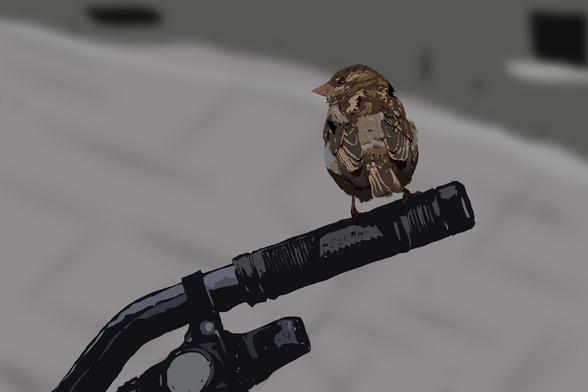 Digital illustration of a house sparrow sitting on a bicycle handlebars
made in affinity designer 2

say no to ai!