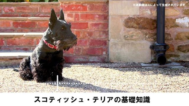 スコティッシュ・テリアの基礎知識