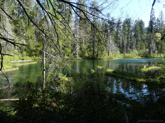 Blue Lake.

Water reflects and shimmers with a number of logs growing grass reaching in from the sides. Trees surround the edge with a thin branch reaching down in front of the camera trying to hide the lake from the camera.