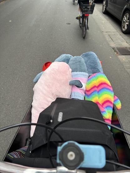 Foto aus der Perspektive einer Persons auf einem Lastenrad:
Zusehen ist die Kiste des Lastenrades von schräg oben. In der Kiste liegen neben einem Rucksack 5 Haie, die nach vorne aus der Kiste schauen.