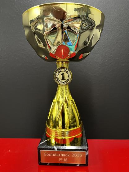 Gorgeously looking trophy indicating 1st place in something called "Sommarhack 2025 Wild". Placed on a red surface against a black background.