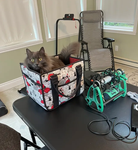 A fluffy grey cat sitting confidently inside a knitting bag, beside the bag is a Daedalus Sterling, e-spinner.