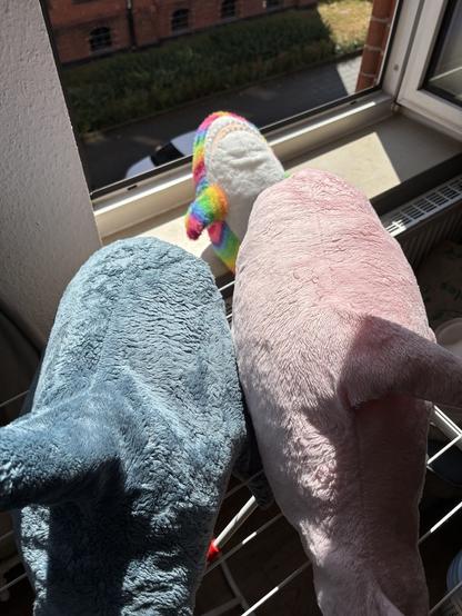 Zwei Haie (einer blauer, einer roser) kiegen auf einem Wäscheständer in der Sonne. Ein weiterer Hai (regenbogenfarben) liegt auf dem Rücken auf der Fensterbank davor.