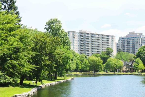 Photo taken outside of a calm body of water located by trees and benches in a park in Waterloo, Ontario.