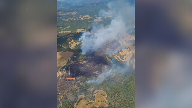 El foc s'ha iniciat després de les dues a la tarda i afecta unes 15 hectàrees (Protecció Civil)