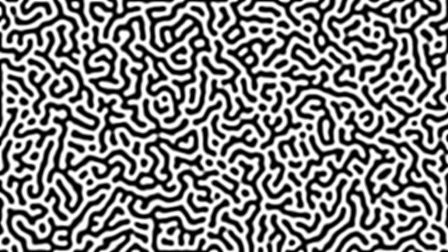 An organic-looking jumble of black and white loops, dots and squiggles.