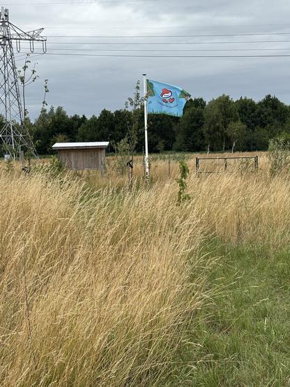 Voedselboskabouters flag