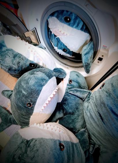 Photo of a flock of Blahaj in front of an open washing maschine. 2 blahaj inside the drum.