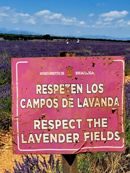 Detalle de un cartel pidiendo respetar los campos de lavanda, sobre el cartel se aprecia a dos personas que se han internado en el campo a pisotearlo para sacarse fotos y mostrar en su Instagram lo felices que son.