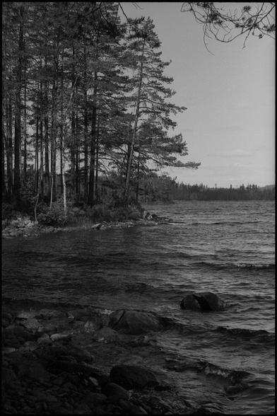A black and white photograph of a forest lake. Pinetrees line the shore, which mostly consists of large stone blocks.