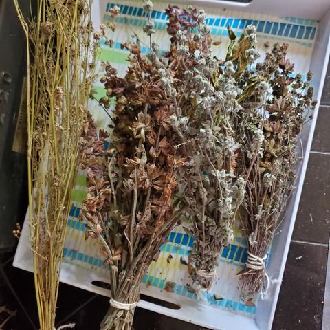 A collection of dried herb bundles arranged in a white tray with alternating green, blue, and white stripes. The bundles, tied with twine, feature herbs in shades of brown, tan, and light green. Some leaves are crispy or faded, suggesting they have been dried for preservation. The tray sits on a dark surface.