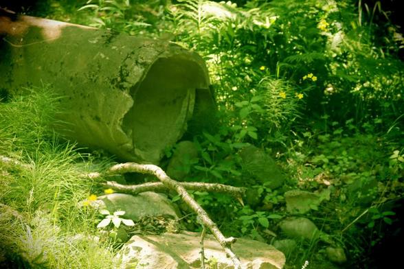 Side view of a cracked concrete culvert surrounded in low growth, broken tree limbs, and stones includes the opening of the culvert. The photo's tone is green; the EOS90D settings emulate the colour tones and focus of a plastic camera.