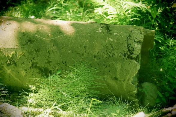 A Medium close-up side view of a cracked concrete culvert surrounded in low growth, broken tree limbs, and stones. The edges of the end of the culvert is cracked and jagged. The side is scratched and worn, with low growth pressed up against it. The photo's tone is green; the EOS90D settings emulate the colour tones and focus of a plastic camera.