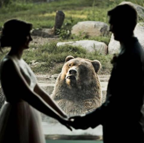 Two people getting married while bear looks on. Behind glass.