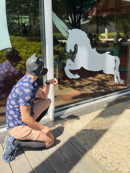 A person wearing a sleek black neoprene puppy hood crouches playfully on a sunlit wooden deck, their body turned toward a large glass window. The window features a bold, white silhouette of a rearing unicorn, its mane and tail flowing with energy. The unicorn’s horn is adorned with pastel rainbow colors, drawn in chalk or marker, adding a whimsical and magical touch.
The pup, dressed in a navy blue shirt patterned with pink lotus flowers, peach shorts, and knee-high black socks, raises a fist in a gesture of admiration or greeting toward the unicorn, as if acknowledging its mythical presence. Sunlight pours in, casting sharp shadows and highlighting the vibrant greenery reflected in the glass. The scene is playful and imaginative, blending elements of fantasy and pup play, with the pup’s attentive posture and the unicorn’s majestic stance creating a sense of mutual respect and wonder.