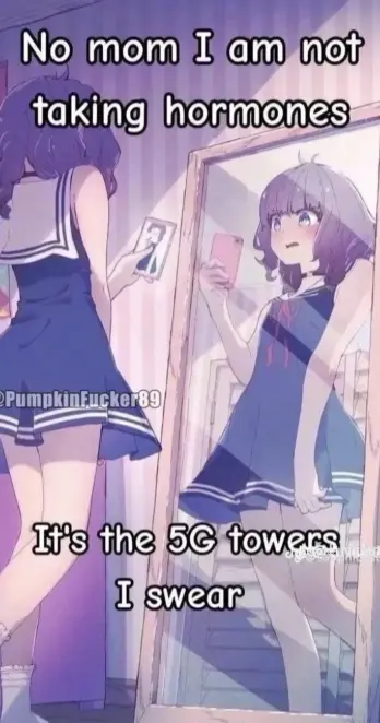 anime woman looking at the mirror captioned "No mom I am not taking hormones it's the 5G towers I swear"