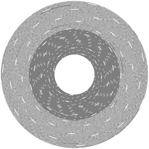A graphical representation of the flux transitions which represent data on magnetic floppy disks, captured by the Applesauce Disk Controller from the disk titled Pointless - Disk 1 - copy 2 - Side 0 Copy