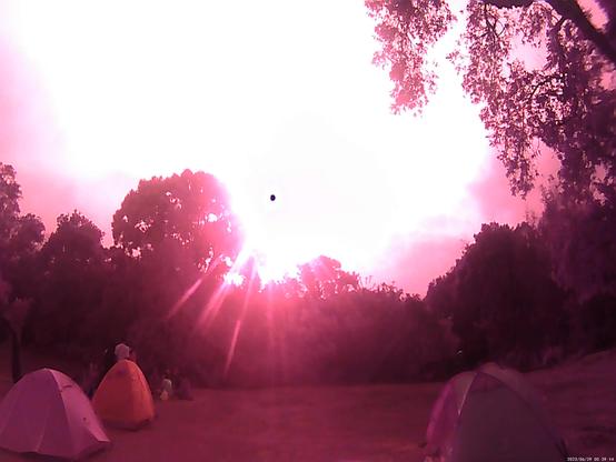 pink tents and overexposed sun, surrounded by pink trees