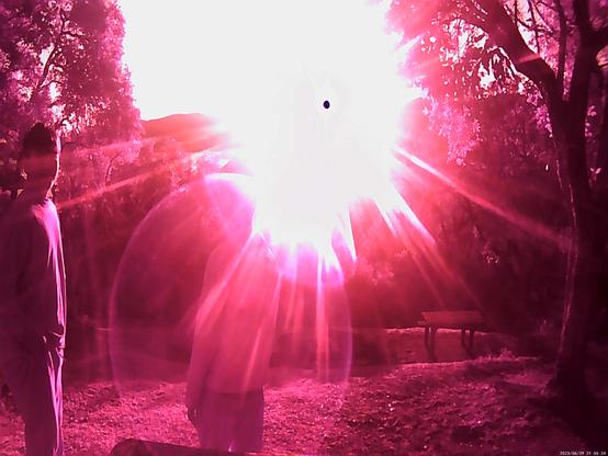 extremely overexposed sky, pink trees in the sides